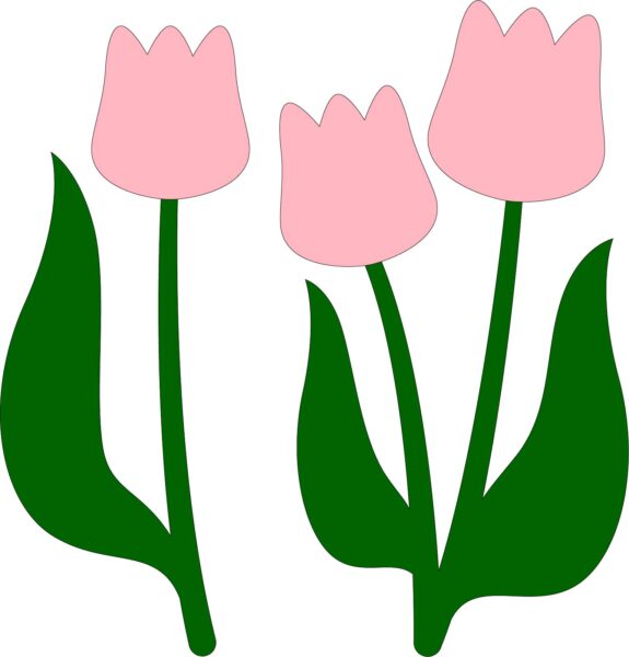 Spring Tulips Collection